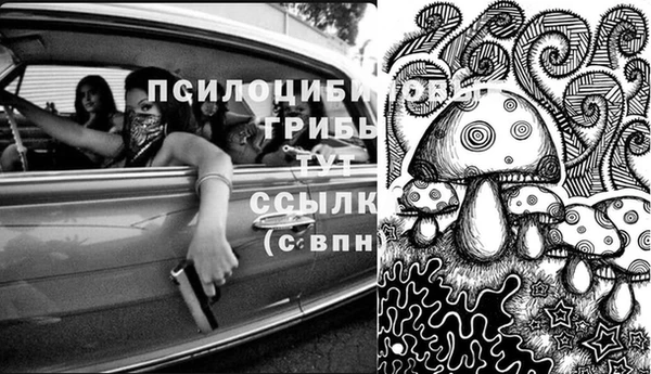 тгк Краснослободск